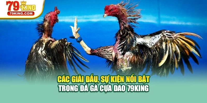 Các giải đấu, sự kiện nổi bật trong đá gà cựa dao 79KING