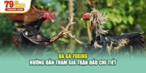 Đá Gà 79KING - Hướng Dẫn Tham Gia Trận Đấu Chi Tiết